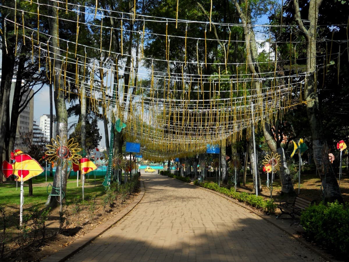 Alumbrado Navideño - Ruta de la Navidad