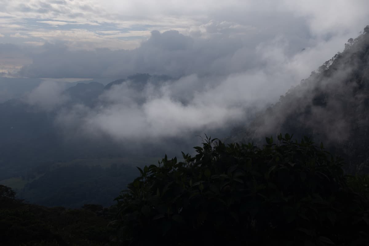 Parque Natural Chicaque